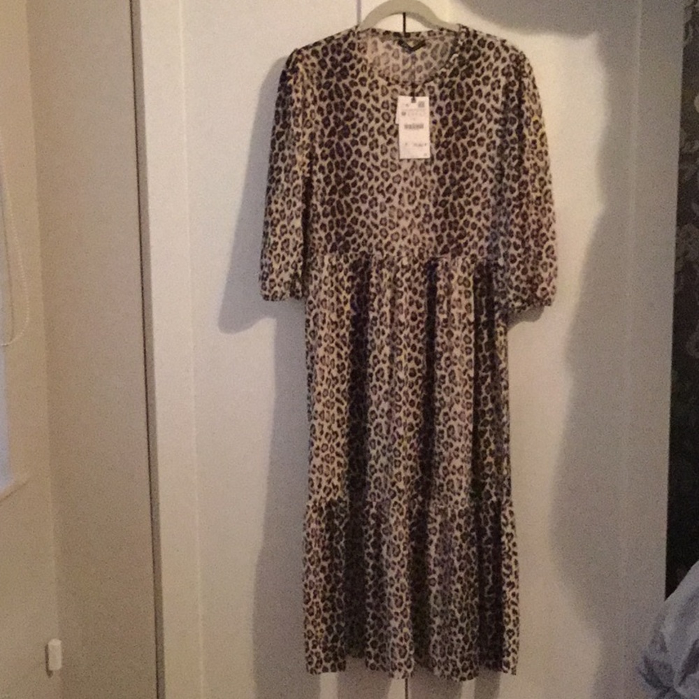 Zara leopard maxi dress